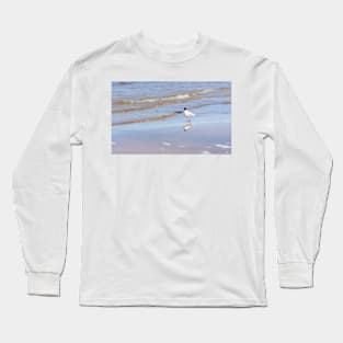 Seagull standing on one leg on the seacoast near water Long Sleeve T-Shirt